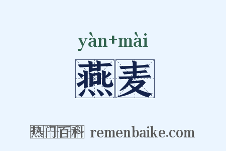 燕麦是什么意思的图片